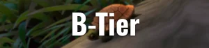 Mists of Pandaria Classic DPS Tier List – All Specs Ranked